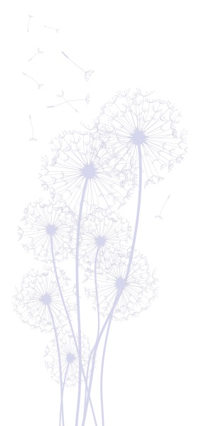 Dandelions